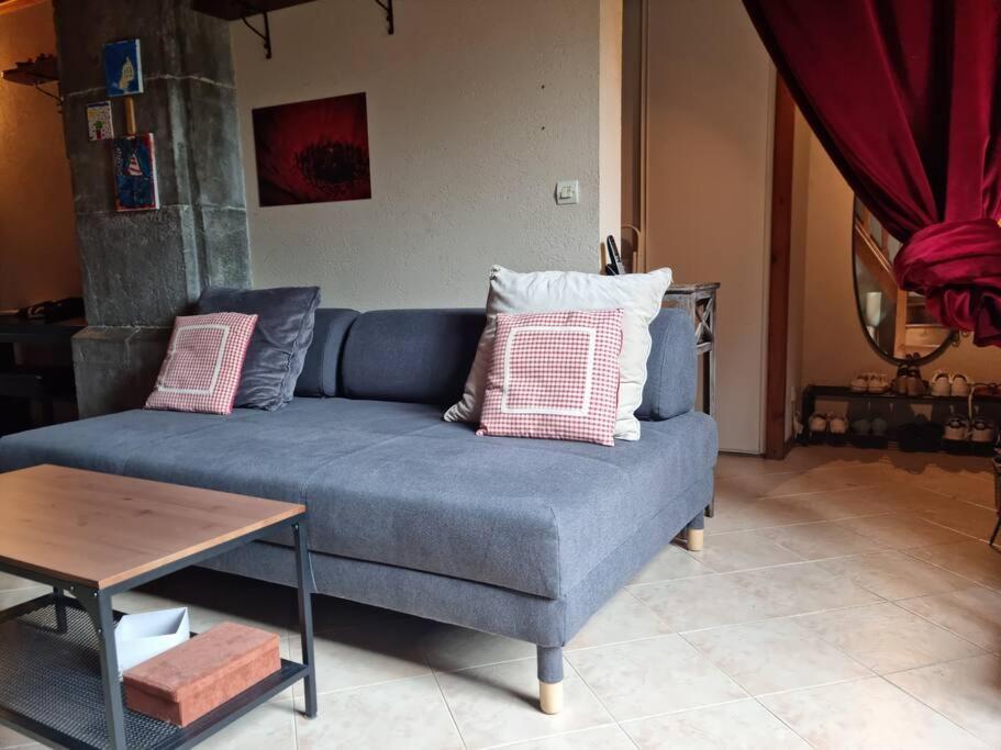 Chateau D'Uriage - Duplex Avec Terrasse Privative Saint-Martin-d'Uriage Bagian luar foto
