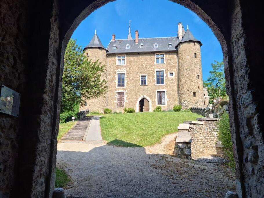 Chateau D'Uriage - Duplex Avec Terrasse Privative Saint-Martin-d'Uriage Bagian luar foto